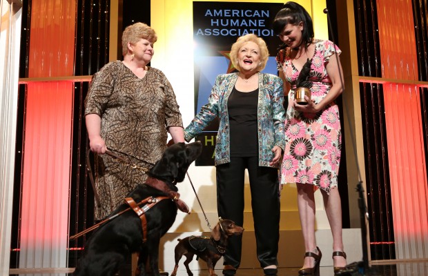 American Humane Association Hero Dog Awards 2013