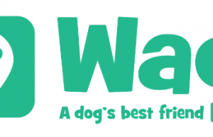 Wag!_On-Demand_Dog_Walking_App
